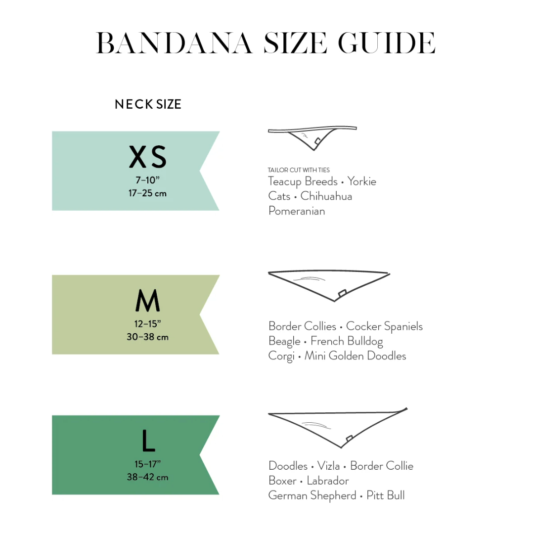 Guide bandana hund