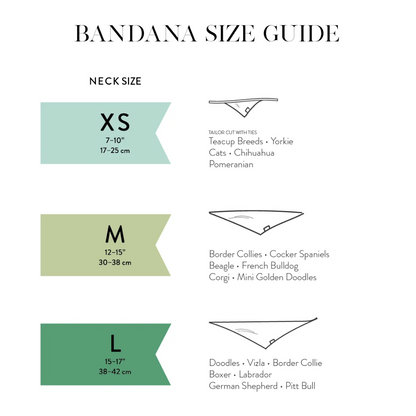 Guide bandana hund