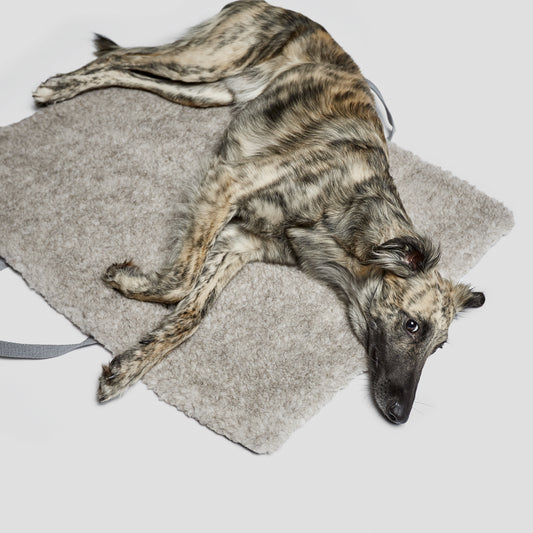 Cloud7 Tweed Taupe // Reiseseng til hund