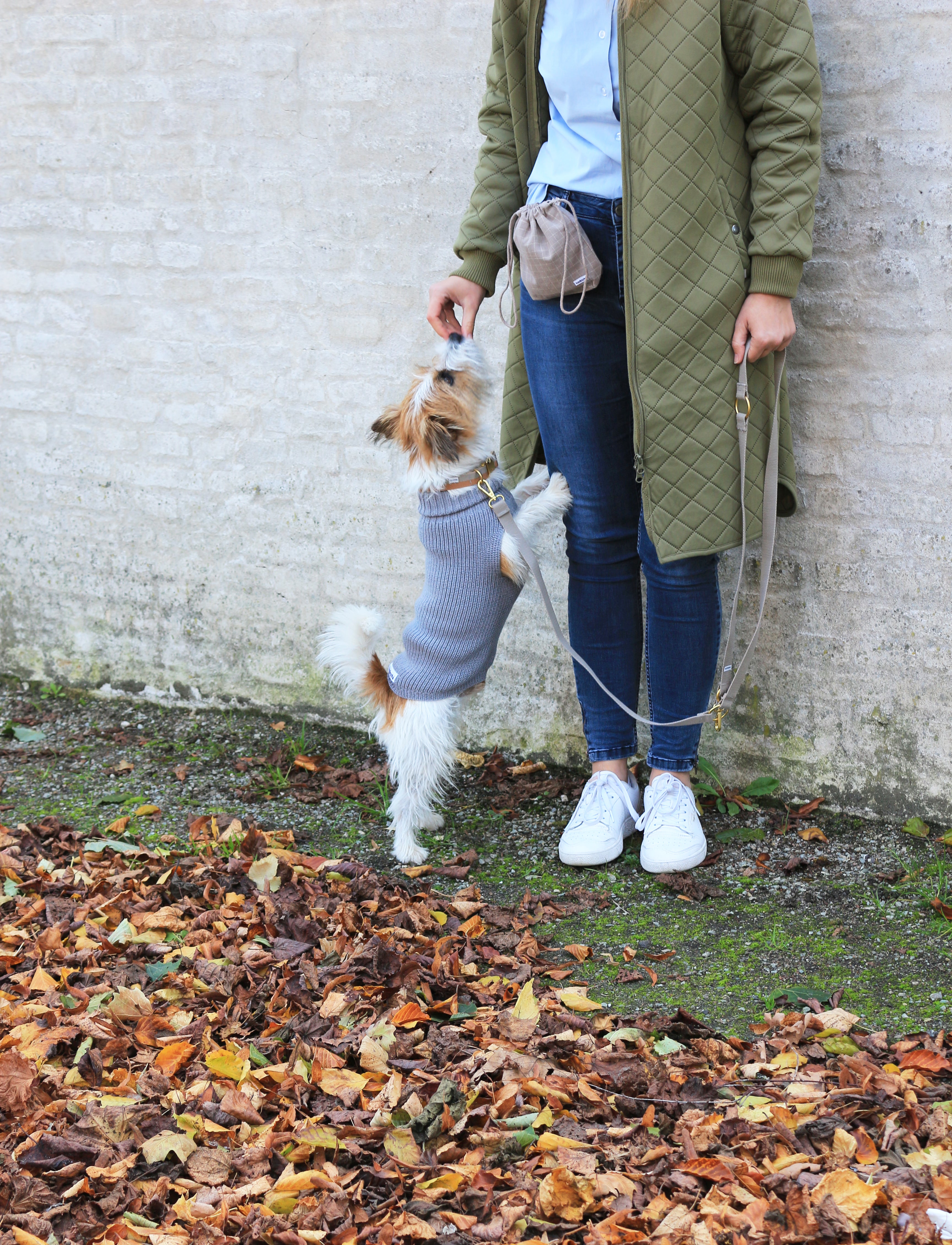 Tadazhi Ullgenser // Hundegenser i merinoull (grå)