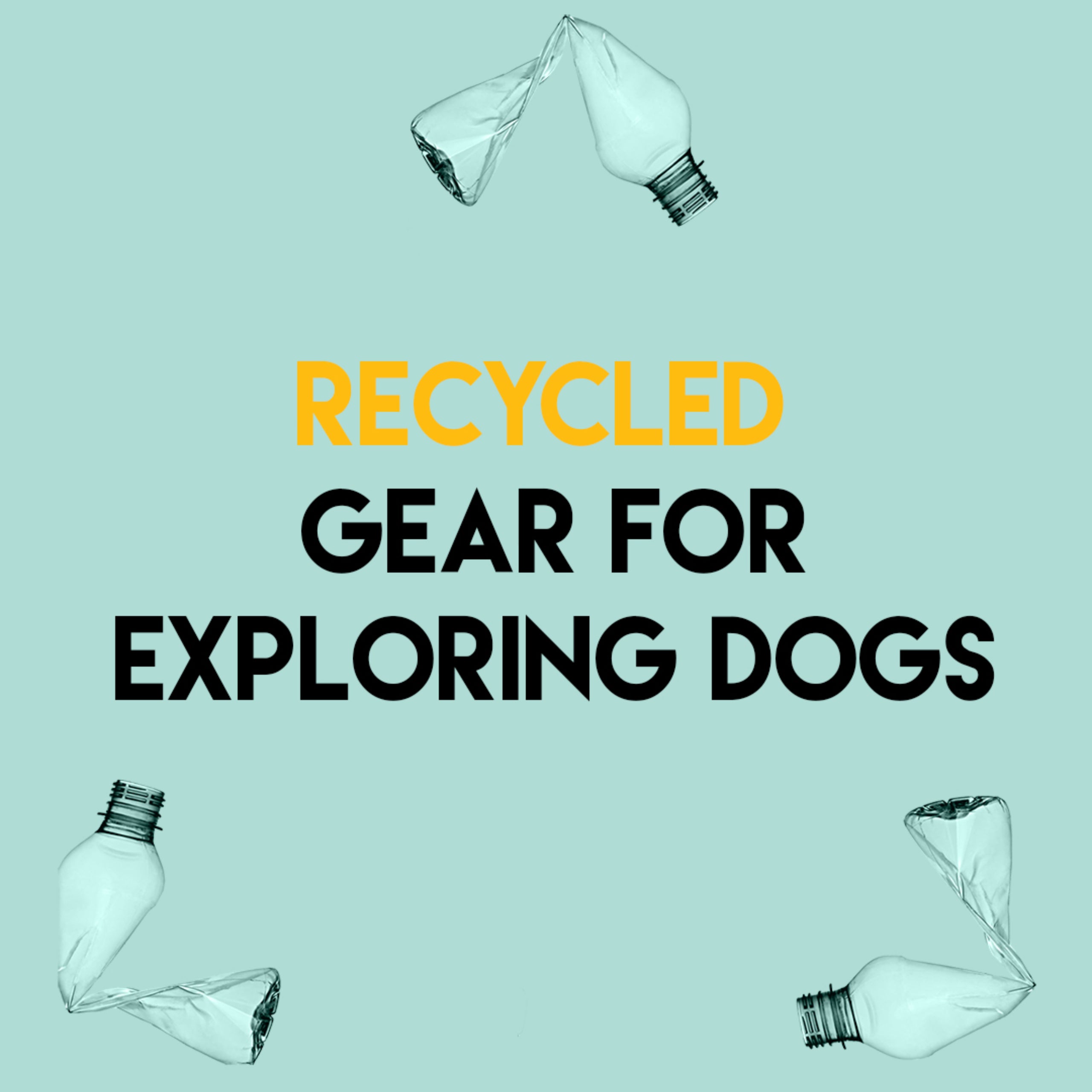 Recycled gear for exploring dogs